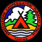 ACTI Torino