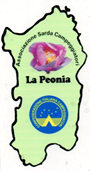 Camper Club La Peonia