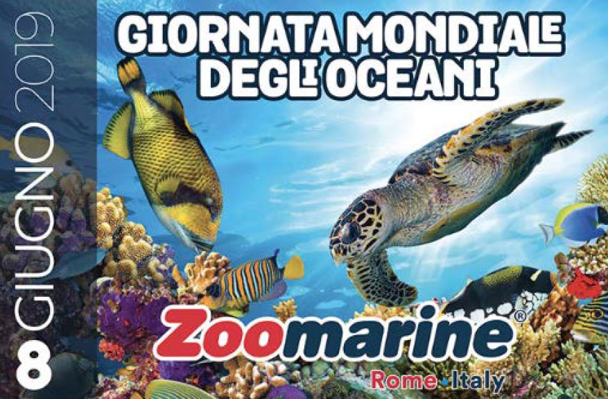 zoomarine oceani201906